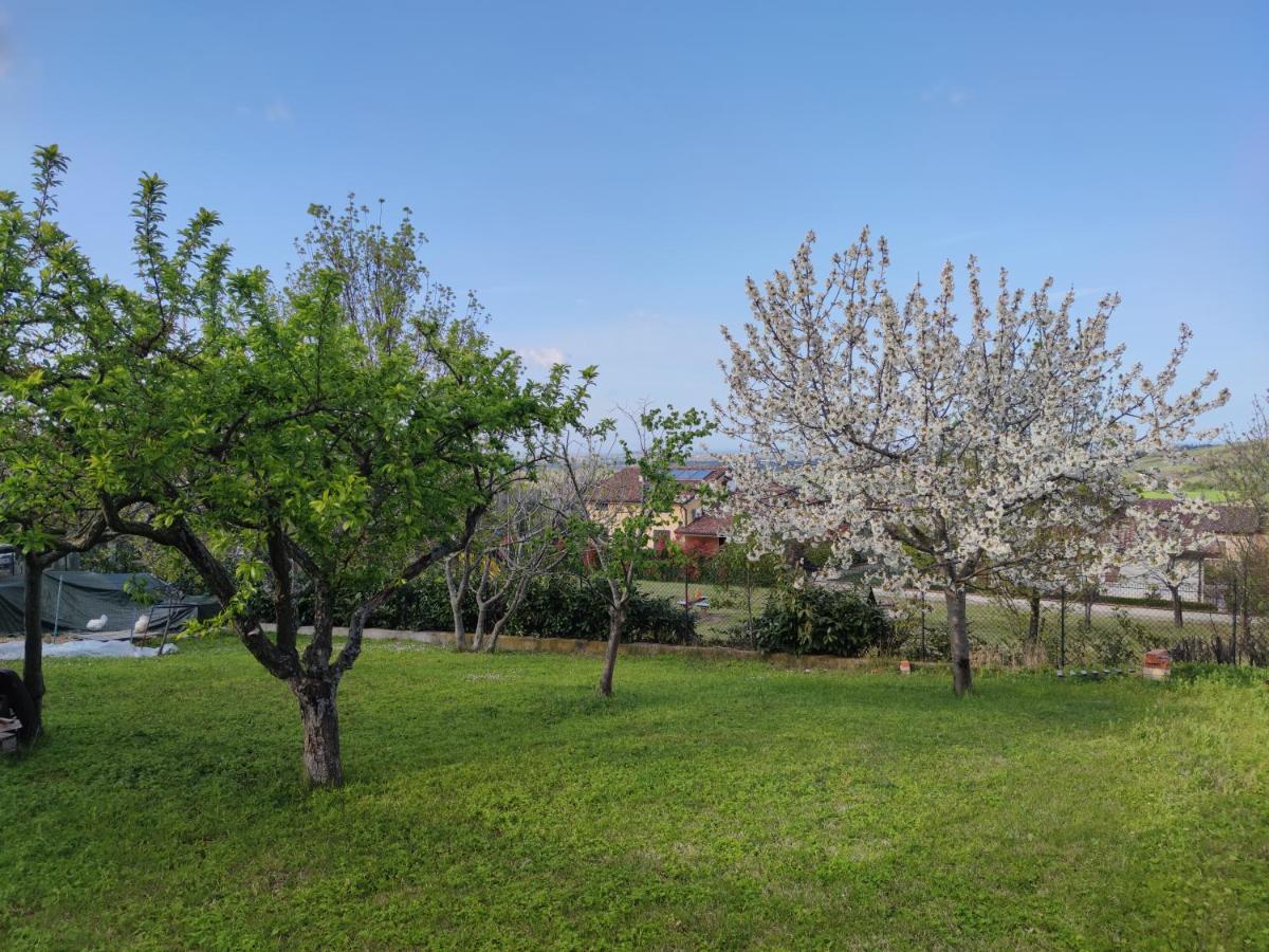 Relax In Collina A Due Passi Dal Mare Apartment Torriana Ngoại thất bức ảnh
